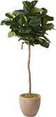 D&W Silks Brazilian Fiddle Leaf Fig Tree 7'-0