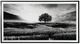 Signature Design by Ashley® Deborland Black/White Wall Art-0