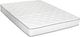 Primo™ International Saturn 8" Wrapped Coil Plush Tight Top King Mattress in a Box-0