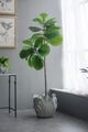 A & B Home Gray 15" Planter -4