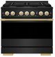 ZLINE Marino 36" Black Stainless Steel Pro Style Dual Fuel Range with Polished Gold Accents-0