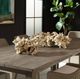 Uttermost® Elemental 2-Piece Bleached Root Indoor-Outdoor Sculpture Set-4