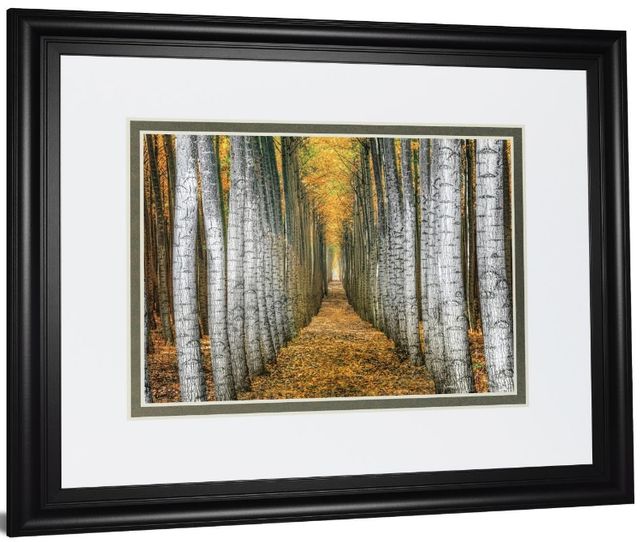 Classy Living Cahill Tree Farm Wall Art-3