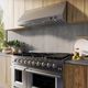 FORNO® Biagio Alta Qualita 48" Stainless Steel Wall Mounted Range Hood-1