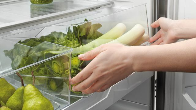 Fisher & Paykel Series 5 32 in. 17.1 Cu. Ft. Stainless Steel Counter Depth Bottom Freezer Refrigerator-4