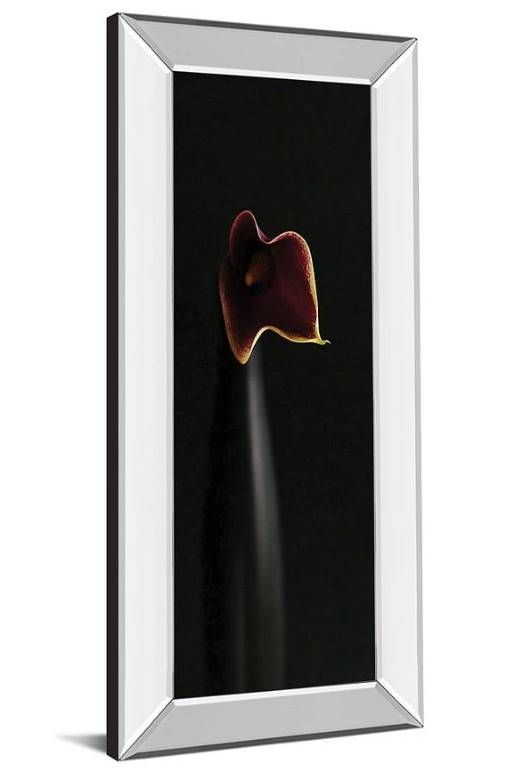 Classy Art Calla In Ebony by Steven Mitchell Mirror Framed Wall Art-1