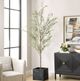 Uttermost® Abundance Charcoal/Green Potted Olive-1