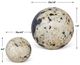 Uttermost® Nouveau 2-Piece Black/White Indoor-Outdoor Sphere Set-2