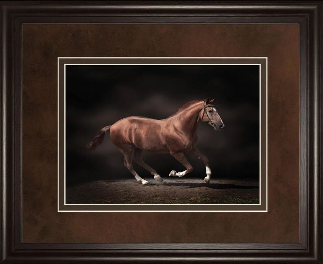 Classy Art Stallion on Black by Edoma Wall Art-0
