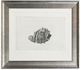 Stylecraft Spider Conch Wall Art-0
