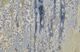 Feizy Clio 8'x10' Style 1 Area Rug-5