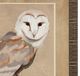 Stylecraft Beige/Brown Framed Print-1