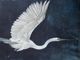 StyleCraft Norman Wyatt Jr Night Flying Wall Art-1