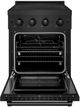 ZLINE Paramount 24" Black Stainless Steel Pro Style Induction Range-1