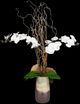 Uttermost® Earthbound Orchid Brown/White Centerpiece with Vase-0