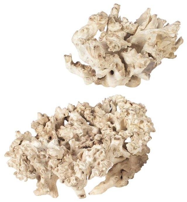 Uttermost® Elemental 2-Piece Bleached Root Indoor-Outdoor Sculpture Set-0