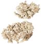 Uttermost® Elemental 2-Piece Bleached Root Indoor-Outdoor Sculpture Set-0