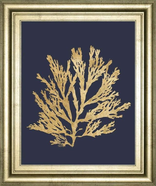 Classy Art Pacific Sea Mosses I Indigo by Wild Apple Portfolio Wall Art-0