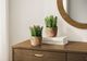 Monarch Specialties Inc. 2-Piece 7" Succulent Artificial Plant Set with 4" Brown Cement Pots-0