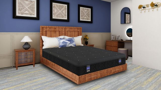 Spring Air® Back Supporter Grace 12.5" Hybrid Plush Smooth Top Full XL Mattress-1