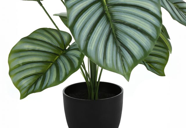 Monarch Specialties Inc. Green/Black 24" Artificial Potted Calathea-1