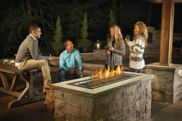 Napoleon 48" Stainless Steel Linear Patioflame® Burner Kit-1