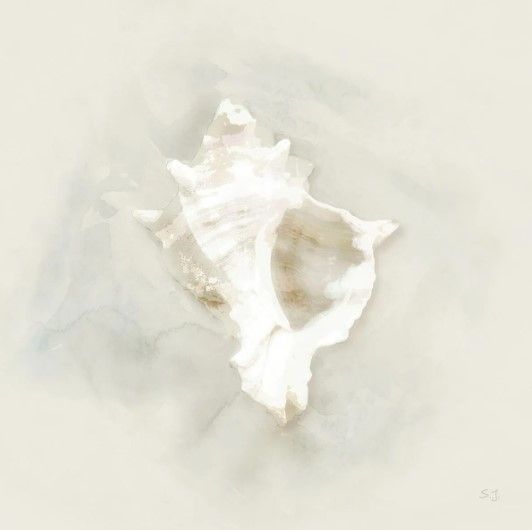 Classy Art Soft Sand and Shell I by Susan Jill White Wall Art-0