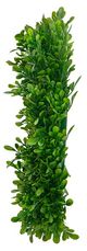 A & B Home Green Wreath-2