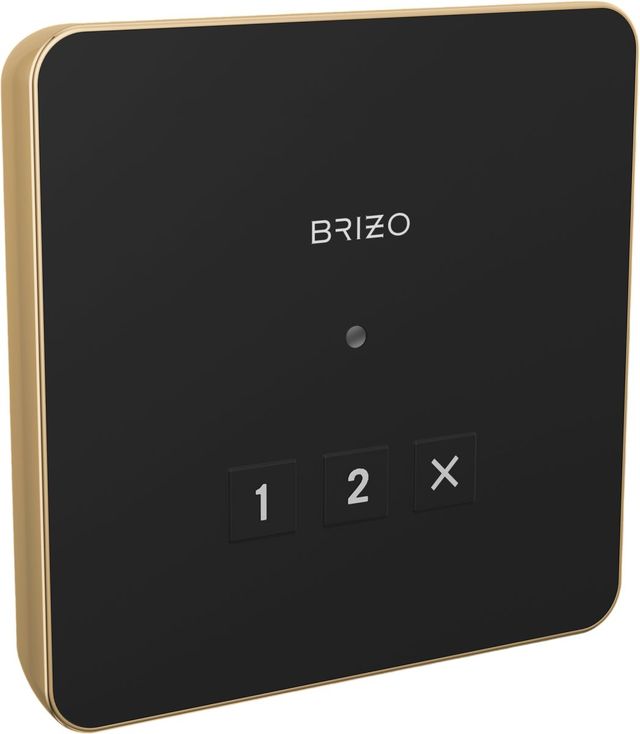 Brizo Mystix™ Lumicoat® Polished Gold Elemental Square Exterior Control-0