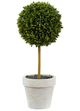 A & B Home 3-Piece Green Potted Boxwood Topiaries Set-1
