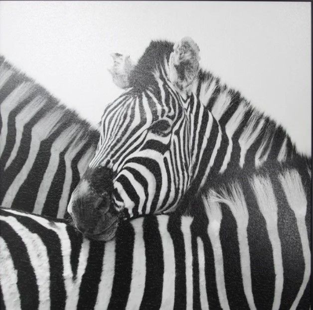 Stylecraft Black/White Wall Art-1