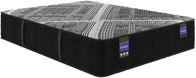 Spring Air® Back Supporter Francesca 13.5" Hybrid Firm Tight Top Full XL Mattress-0