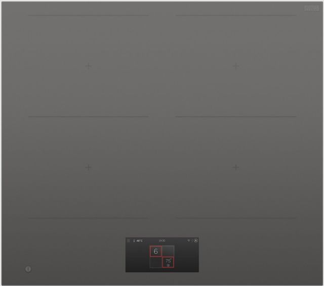 Fisher & Paykel Series 9 24" Gray 4 Zone Induction Cooktop-0