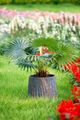 A & B Home Gunmetal Large Planter-4