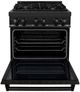 ZLINE 30" Black Stainless Steel Pro Style Dual Fuel Range-1