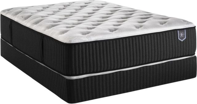 Restonic® Silver Leaf 14'' Hybrid Plush Tight Top Twin XL Mattress-0