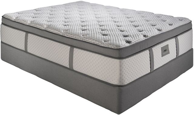 Spring Air® Nature's Rest® Victoria 15" Latex Plush Euro Top Twin Mattress-0
