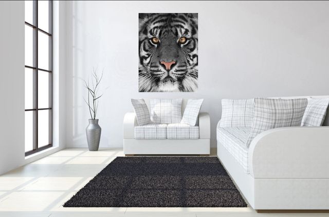 Classy Living Eye of the Tiger Wall Art-1