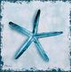 StyleCraft Perth Shells I Blue/White Wall Art-1