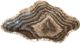 A & B Home Macias Black Hand-Carved Zebra Onyx Bowl-0