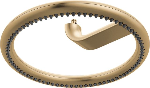 Brizo Roccesco™ Brilliance® Luxe Gold® 12" Single-Function Halo Raincan Shower Head-0