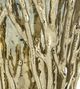 A & B Home Mabrey Gold 10" Branch Glass Candle Holder-3