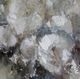 YHD Abstract Bouquet II Wall Art-5