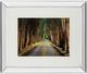 Classy Living Michael Tunnel And Mossy Oak Native Living Tree Tunnel Wall Art-0