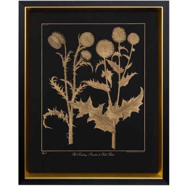 Stylecraft Thistle Black/Gold Wall Art-0