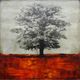 Stylecraft Black/Red Wall Art-0