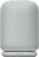 Sony® LinkBuds Light Gray Portable Wireless Speaker-0