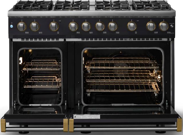 Viking® 5 Series 48" Onyx Pro Style Gas (LP) Range with Brushed Brass Trim-1