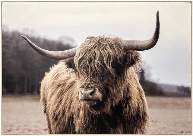 Classy Living Resiliant Majestic Highland Wall Art-0