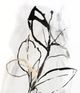 Stylecraft All the Leaves Are Gold Black/White Wall Art-1